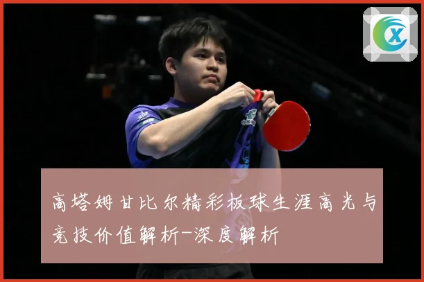 高塔姆甘比尔精彩板球生涯高光与竞技价值解析-深度解析