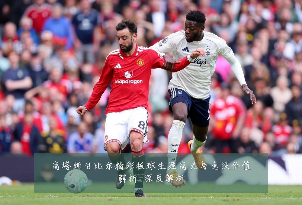 高塔姆甘比尔精彩板球生涯高光与竞技价值解析-深度解析